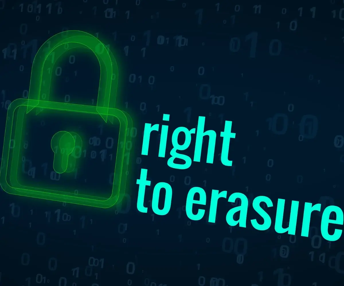 Mugshot & Record Erasure