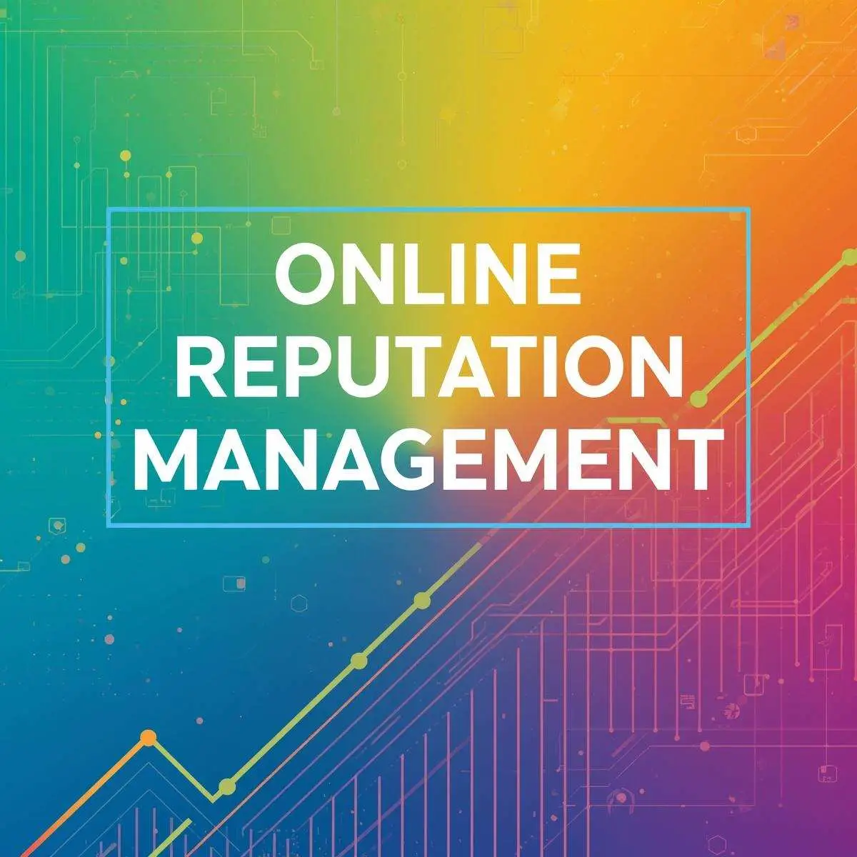 Online Reputation Management